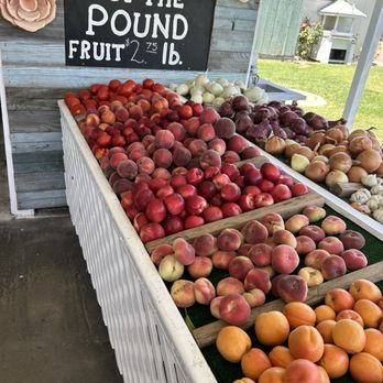 Cipponeri Family Farms - Nice selection of fruit. - Farmers Market Near Me - Turlock, California Cipponeri Family Farms - Nice selection of fruit. - Farmers Market Near Me - Turlock, California