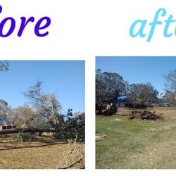 Down & Out Tree Surgeons