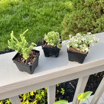 Dutchland Foods - Succulents from Dutchland - Delis Near Me - Marion, New York Dutchland Foods - Succulents from Dutchland - Delis Near Me - Marion, New York