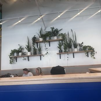 Biscuit Belly - Charlotte - Live plants - Breakfast & Brunch Near Me - Charlotte, North Carolina Biscuit Belly - Charlotte - Live plants - Breakfast & Brunch Near Me - Charlotte, North Carolina