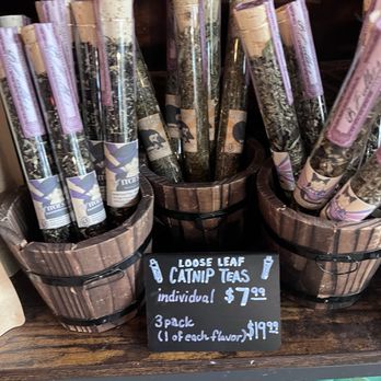 Seattle Meowtropolitan - Cat nip tea...for humans - Themed Cafes Near Me - Seattle, Washington