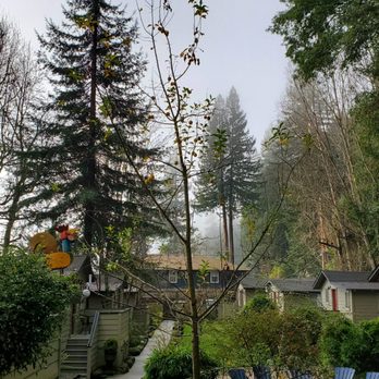 Cottages On River Road - Inside property - Hotels Near Me - Guerneville, California Cottages On River Road - Inside property - Hotels Near Me - Guerneville, California