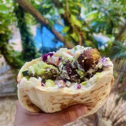 Falafel Nessya - Fresh mouth watering falafel stuffed high in fresh made pita. Their green sauce is the best in my opinion
