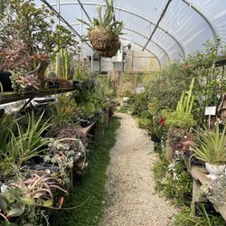 Auburn Pointe Greenhouse & Flowers