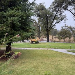 View from our patio