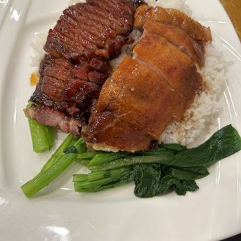 Ting Wong Restaurant - Roast Pork and Roast Duck on Rice - Noodles Near Me - Philadelphia, Pennsylvania Ting Wong Restaurant - Roast Pork and Roast Duck on Rice - Noodles Near Me - Philadelphia, Pennsylvania