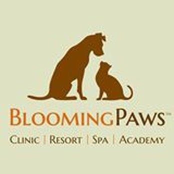 BloomingPaws - All Things Dogs and Cats! - Pet Sitting Near Me - Bloomington, Indiana BloomingPaws - All Things Dogs and Cats! - Pet Sitting Near Me - Bloomington, Indiana