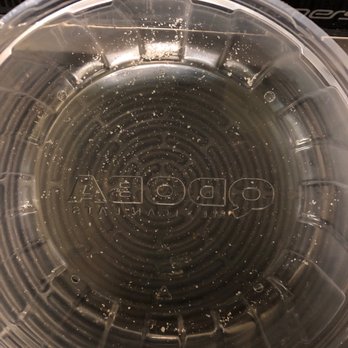 Qdoba Mexican Eats - Grains of salt. - Mexican Near Me - Fresh Meadows, New York Qdoba Mexican Eats - Grains of salt. - Mexican Near Me - Fresh Meadows, New York