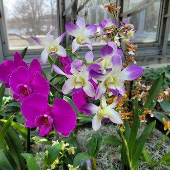 Chicago Botanic Garden - Botanical Gardens Near Me - Glencoe, Illinois