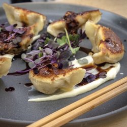 Full Steam Dumpling