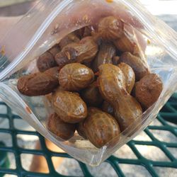 James Brown's Famous Boiled Peanuts - Cajun