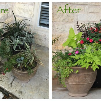 Bloom - We specialize in eye-catching container arrangements to liven up your home. - Gardeners Near Me Bloom - We specialize in eye-catching container arrangements to liven up your home. - Gardeners Near Me