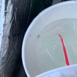 McDonald's - TWO ANTS ARE ALIVE TOO!!! I'm disgusted