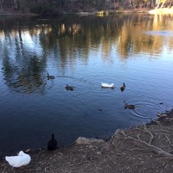Scripps Library Pond