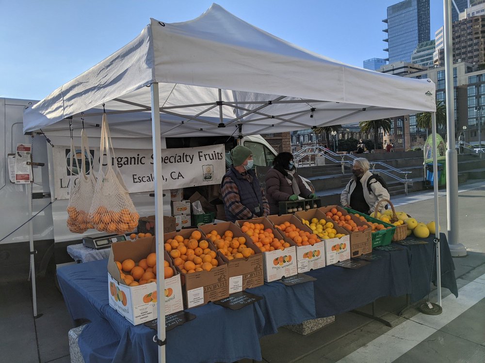 LAGIER RANCHES Updated September 2024 16161 Murphy Rd, Escalon