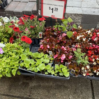 Ace Hardware - Hardware Stores Near Me - Shepherdsville, Kentucky