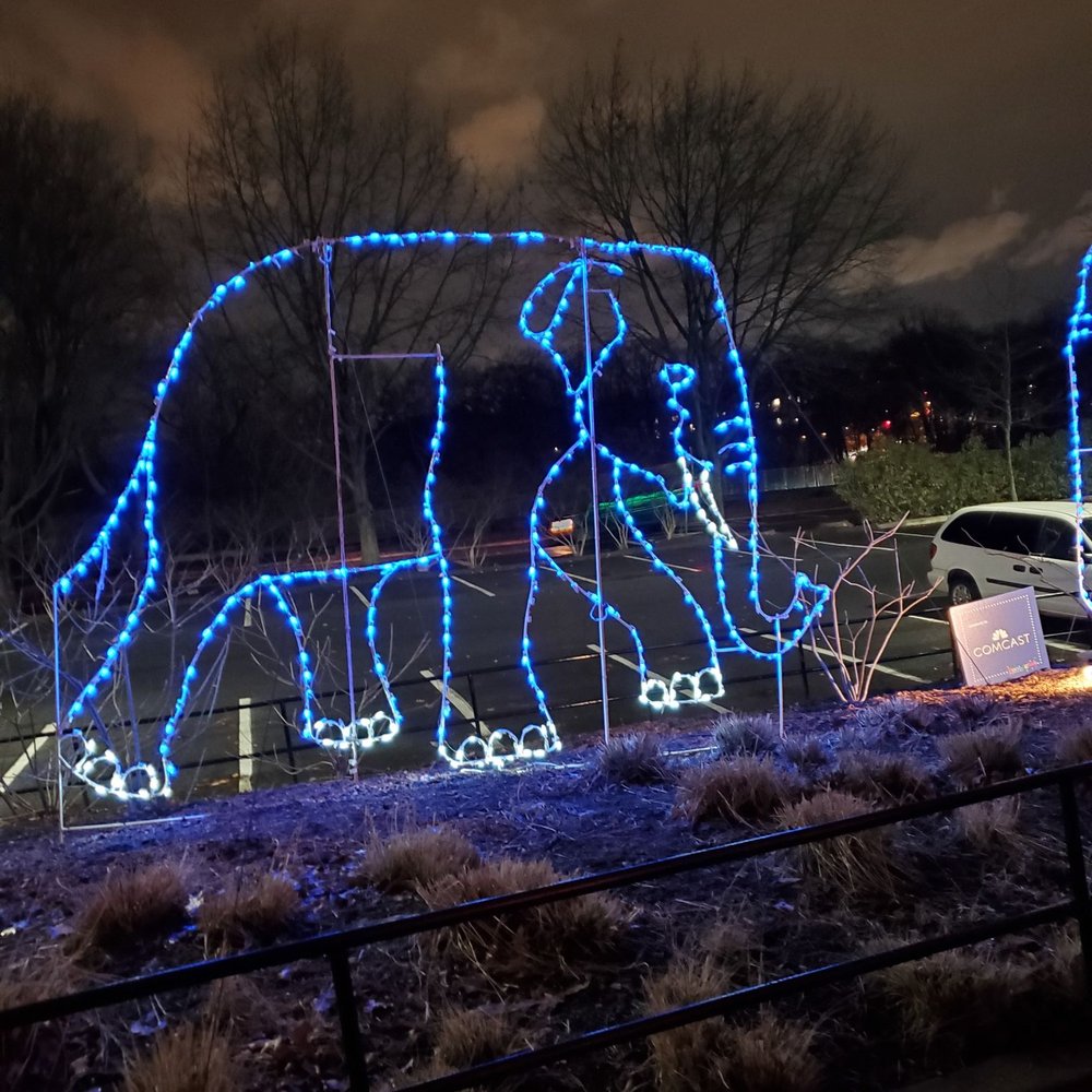 ZooLights - Zoos Near Me - Washington, DC, District of Columbia