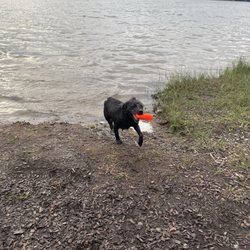 Lake Josephine Park - The Rude Boy