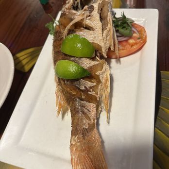 The Fish House - Whole Snapper - Seafood Near Me - Miami, Florida The Fish House - Whole Snapper - Seafood Near Me - Miami, Florida