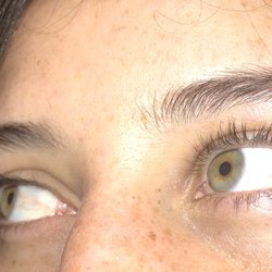 The Lash Lounge Princeton - Marketfair