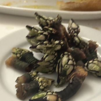 Cervejaria Ramiro - barnacles - Seafood Near Me - Lisbon, 11