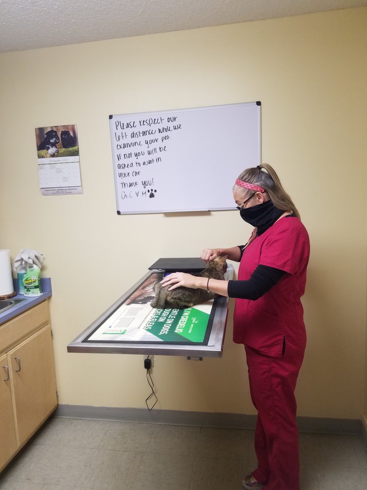 GULF COAST VETERINARY HOSPITAL Updated August 2024 10 Reviews 24001 Canal Rd, Orange Beach