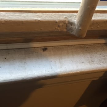 The Green Company - somehow this dead fly was still on the window ledge after the "deep cleaning" - Office Cleaning Near Me - Detroit, Michigan