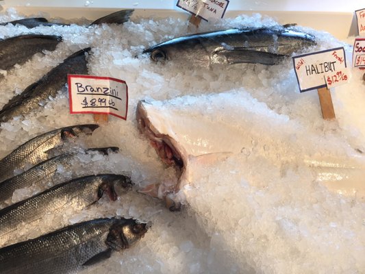 Key City Fish Company by null