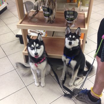 Wagging Tails - Another successful visit - Pet Stores Near Me - Forest Hills, New York Wagging Tails - Another successful visit - Pet Stores Near Me - Forest Hills, New York