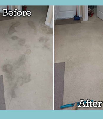 Carpet Cleaning - Have a tough spot needing cleaned in your carpet? Have a ugly pet stain bugging your eye? Take a look at my before and afters! Results guaranteed! Carpet Cleaning - Have a tough spot needing cleaned in your carpet? Have a ugly pet stain bugging your eye? Take a look at my before and afters! Results guaranteed!