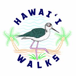 Hawai'i Walks - Our logo features the Aeo, also known as the Hawaiian Stilt. These endemic birds used to flourish in and around Waikīkī.