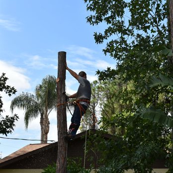 Atlantic Tree Services - Tree Services Near Me Atlantic Tree Services - Tree Services Near Me