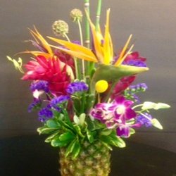 Wild by Nature - Tropicals