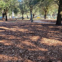 Park Park