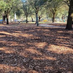 Rowlett Dog Park - Park