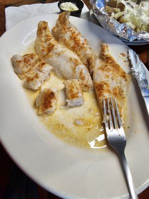 Boats & Hose at Chapel Cove by null