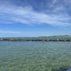 Salty Dog Surf Shop - Snorkel area