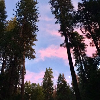 Calaveras Big Trees State Park - Around dusk - Parks Near Me - Arnold, California Calaveras Big Trees State Park - Around dusk - Parks Near Me - Arnold, California