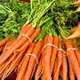 Photo of Old Oakland Farmers' Market