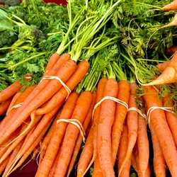 Old Oakland Farmers' Market - January 2022
