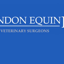Clarendon Equine - Logo