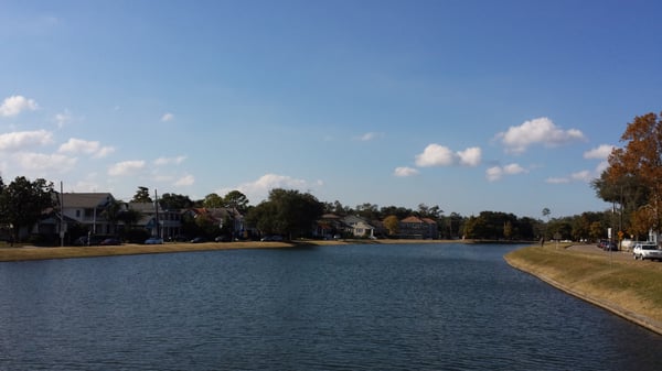 Bayou St John by null
