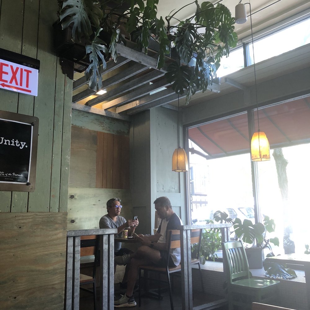Colectivo Coffee Evanston - Monstera plants up there! - Coffee & Tea Near Me - Evanston, Illinois