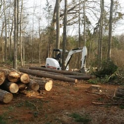 Golden Glove Tree Service