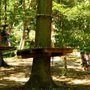 Photo of Ecopark Adventures