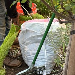 Princess 21 Lawn Care Service - Great work cleaning up leaves