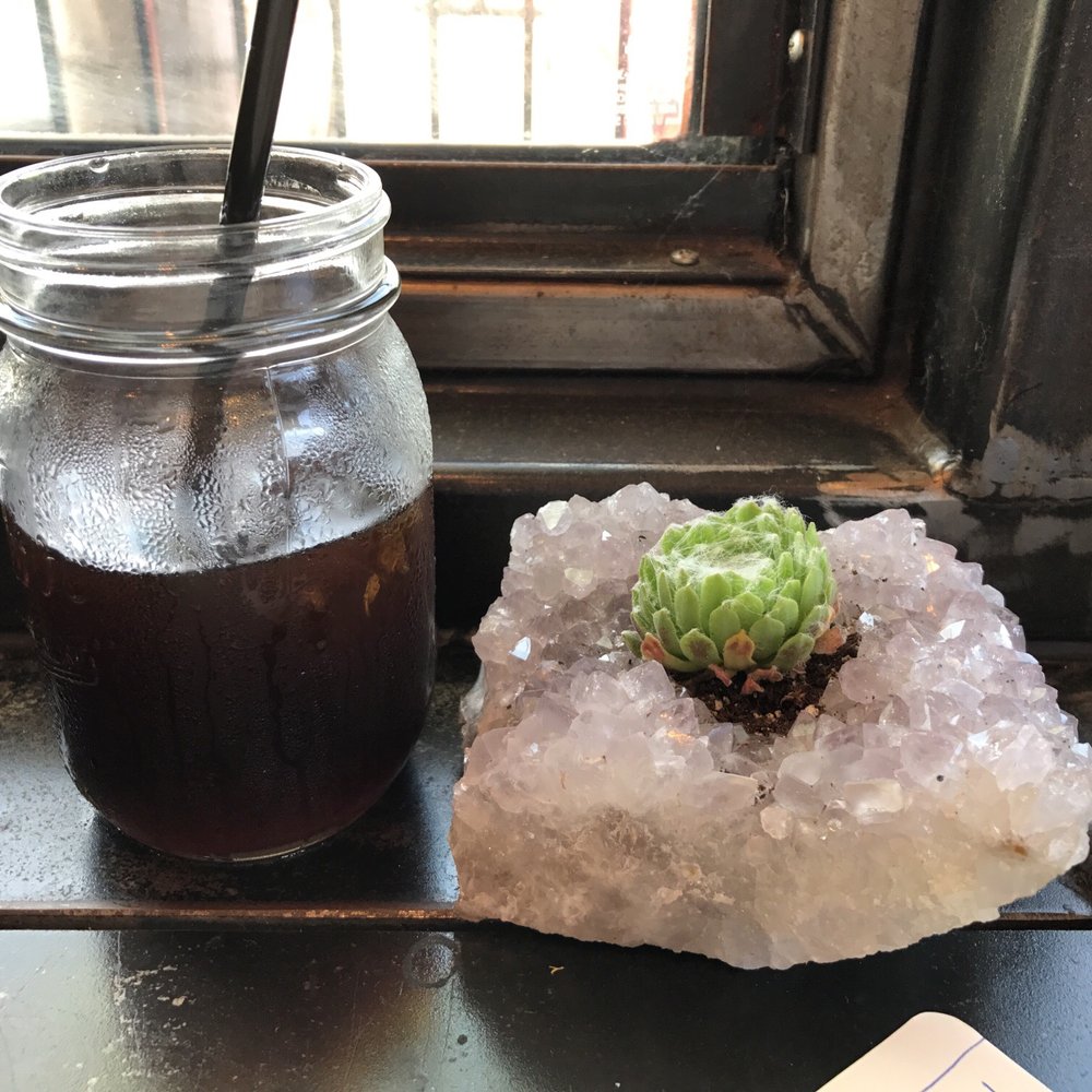 Ironsmith Coffee Roasters - Iced coffee ($4) - Ethiopian Brew hanging out with a succulent on a salt(?) crystal. very good iced coffee. - Coffee Roasteries Near Me - Encinitas, California Ironsmith Coffee Roasters - Iced coffee ($4) - Ethiopian Brew hanging out with a succulent on a salt(?) crystal. very good iced coffee. - Coffee Roasteries Near Me - Encinitas, California