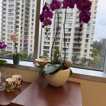 The Orchid Wrangler - Florists Near Me - West Hollywood, California The Orchid Wrangler - Florists Near Me - West Hollywood, California