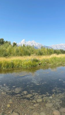 Schwabacher Landing by null