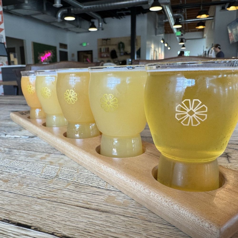 Flight of beer at Peculiar Ales. Flight of beer at Peculiar Ales.